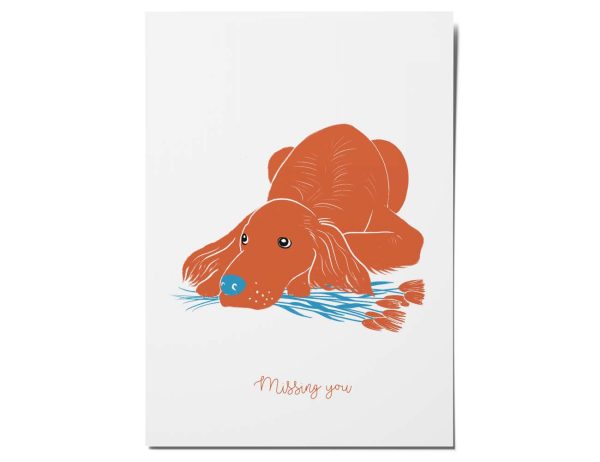 Dierenportret - Afbeelding 3