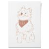 Dierenportret - Afbeelding 5