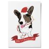 Dierenportret - Afbeelding 10